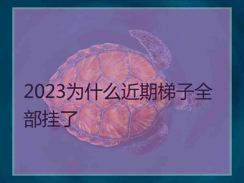 2023为什么近期梯子全部挂了