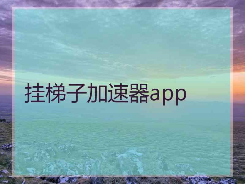 挂梯子加速器app