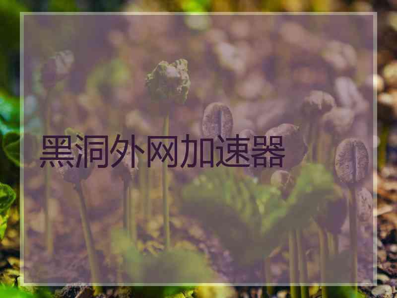 黑洞外网加速器