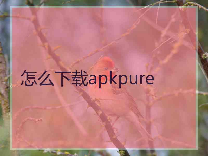 怎么下载apkpure