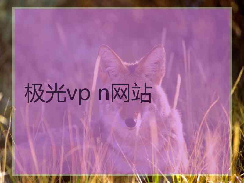 极光vp n网站