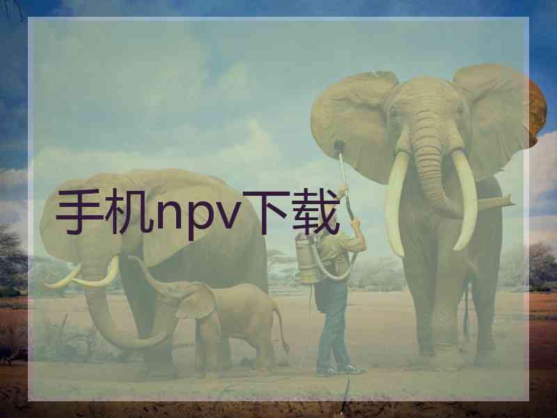 手机npv下载