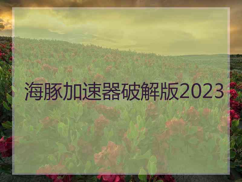 海豚加速器破解版2023