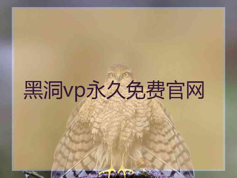 黑洞vp永久免费官网