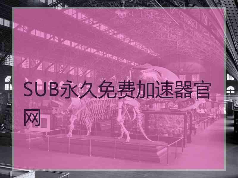 SUB永久免费加速器官网