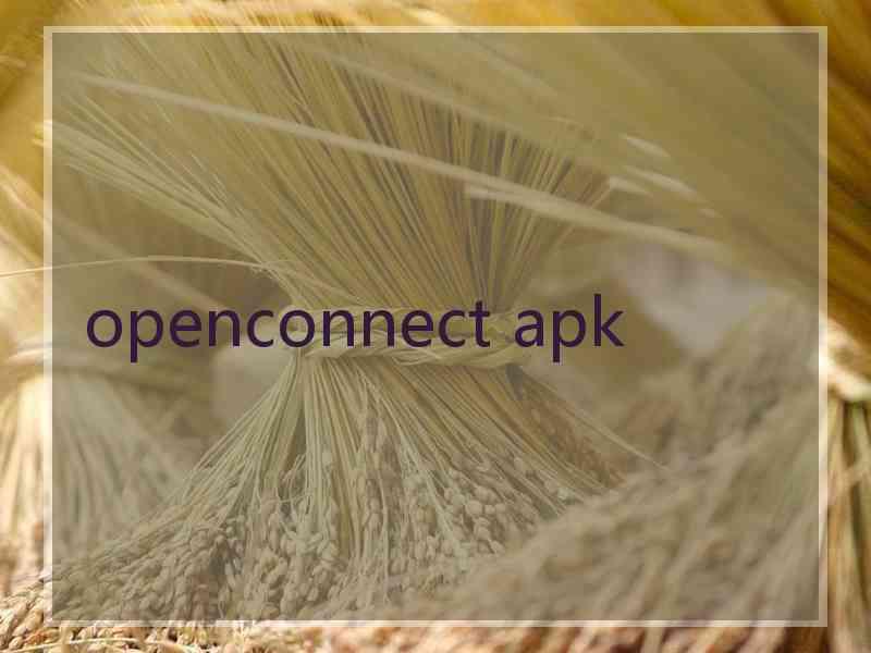 openconnect apk