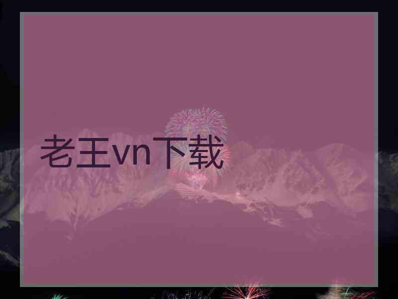 老王vn下载