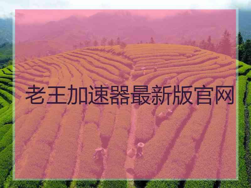 老王加速器最新版官网