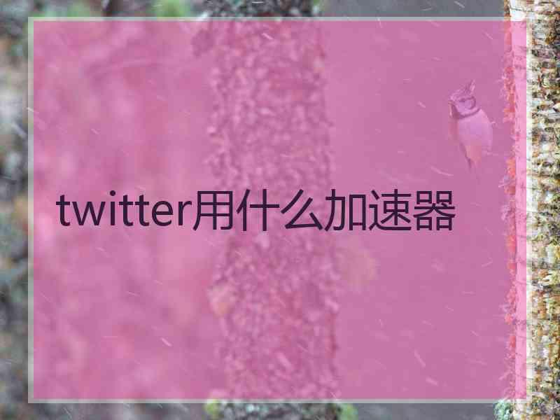 twitter用什么加速器