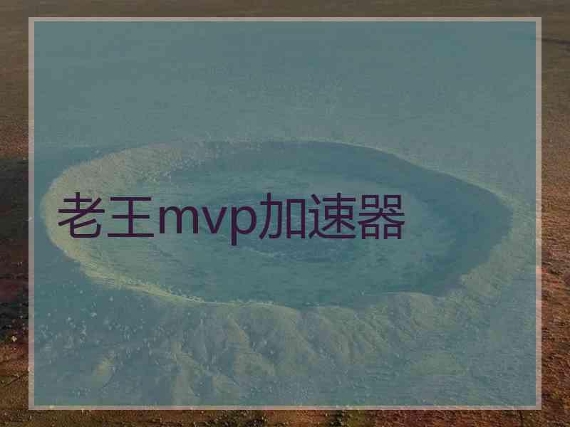 老王mvp加速器