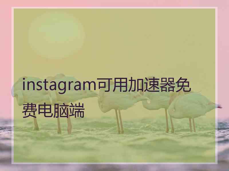 instagram可用加速器免费电脑端