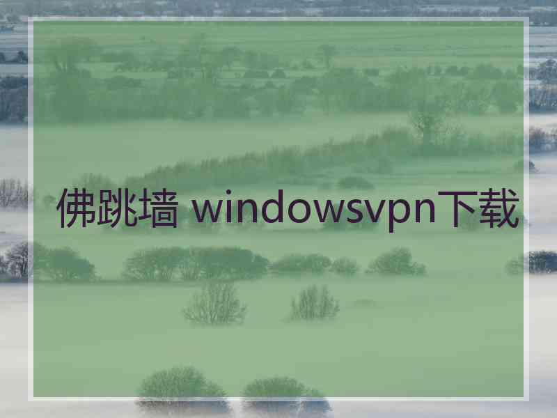 佛跳墙 windowsvpn下载