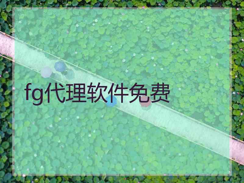 fg代理软件免费