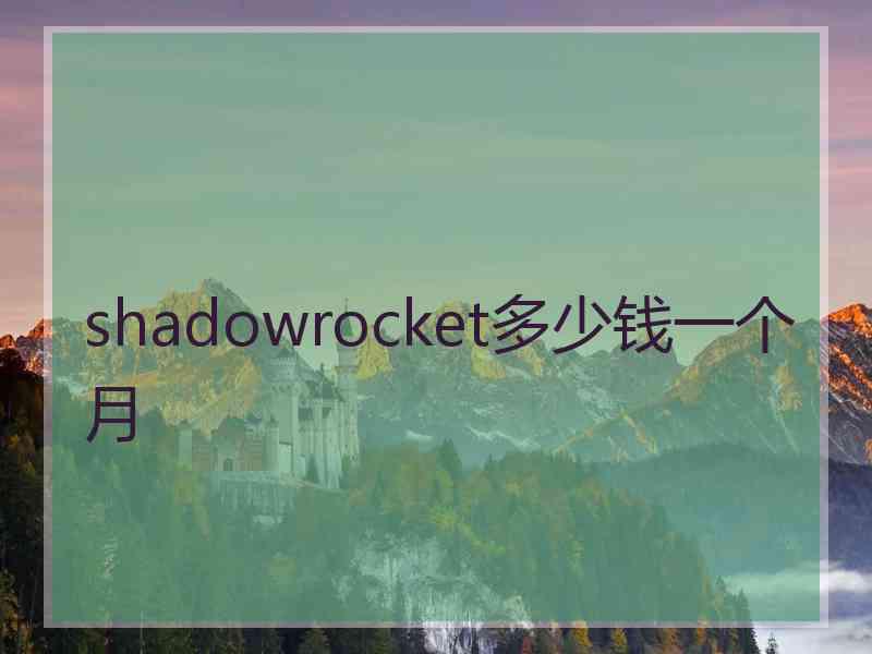 shadowrocket多少钱一个月