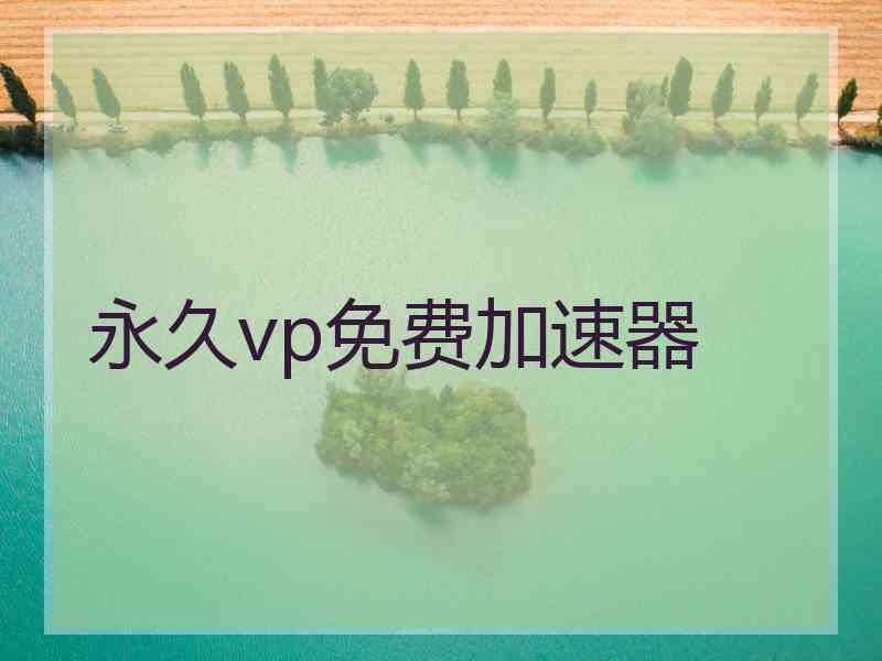 永久vp免费加速器