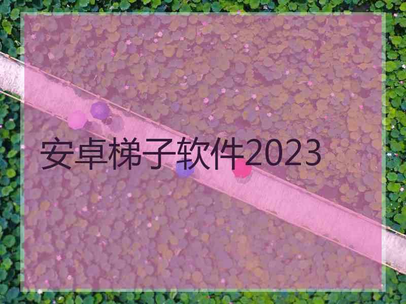 安卓梯子软件2023