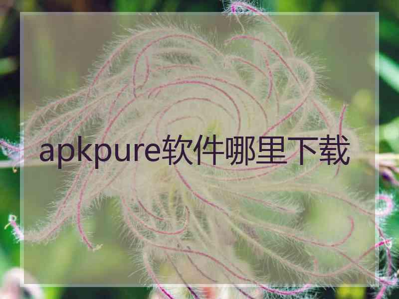 apkpure软件哪里下载