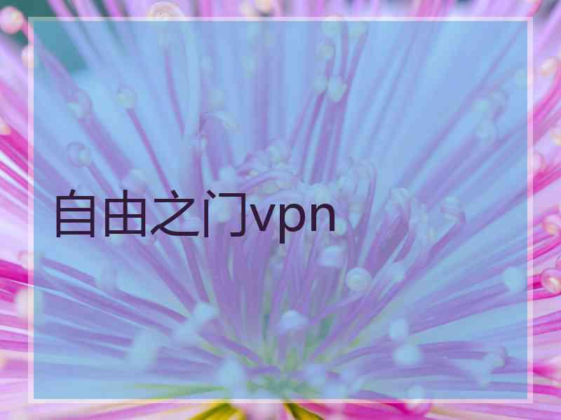 自由之门vpn