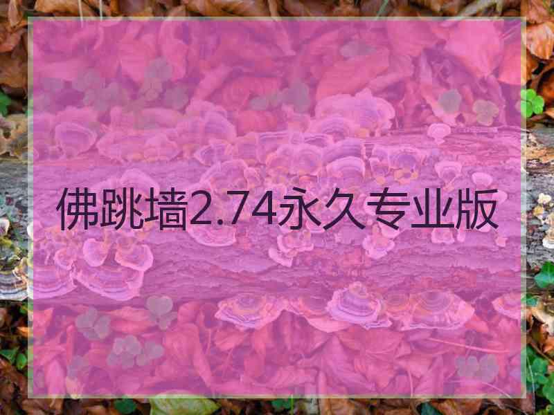 佛跳墙2.74永久专业版