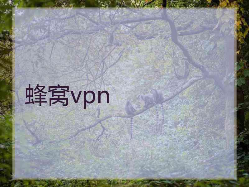 蜂窝vpn