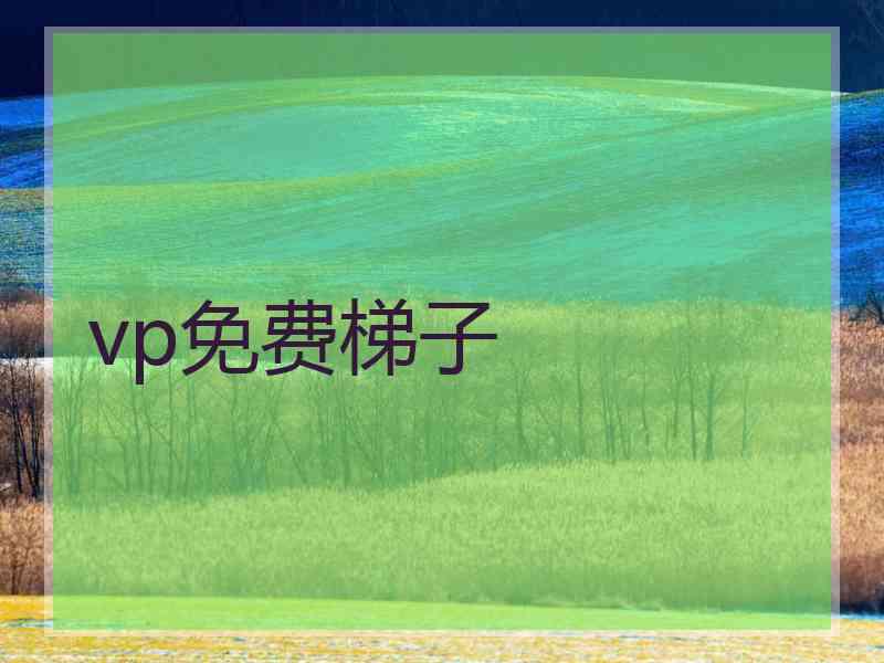 vp免费梯子