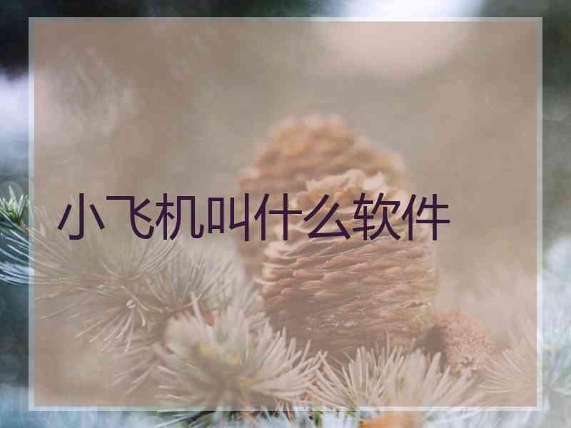 小飞机叫什么软件