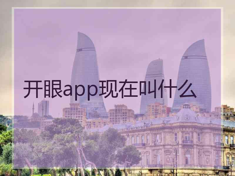 开眼app现在叫什么