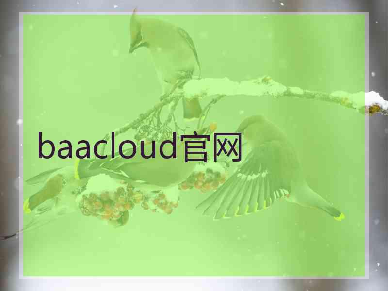 baacloud官网