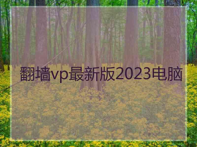 翻墙vp最新版2023电脑