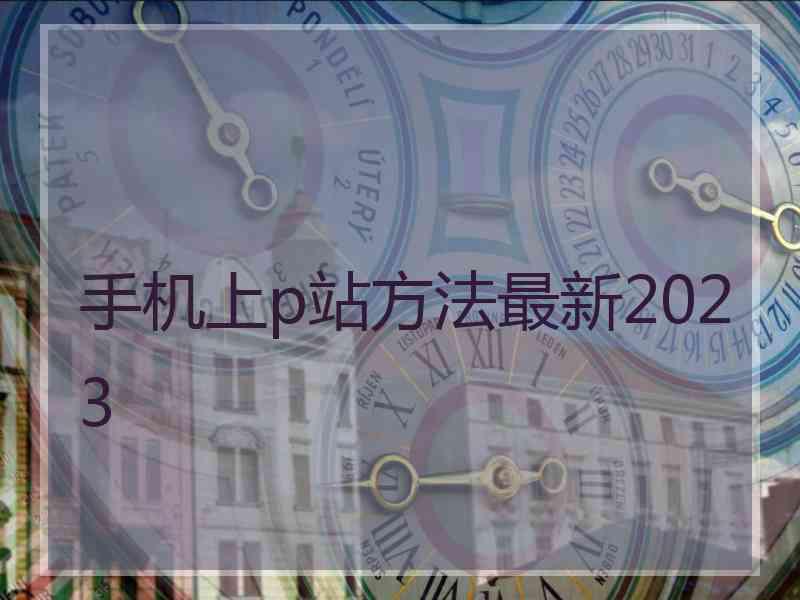 手机上p站方法最新2023