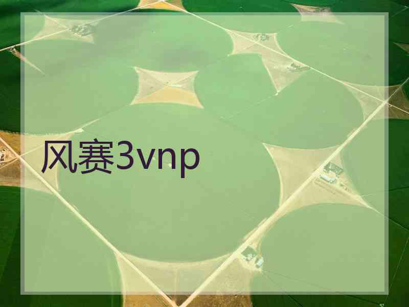 风赛3vnp