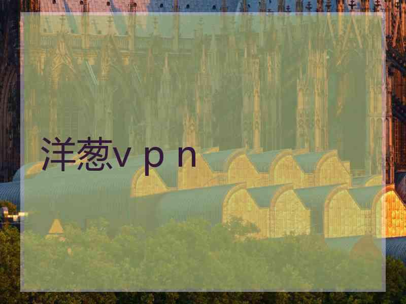 洋葱v p n