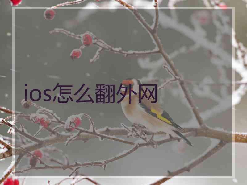 ios怎么翻外网