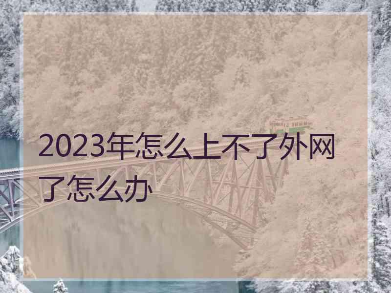 2023年怎么上不了外网了怎么办