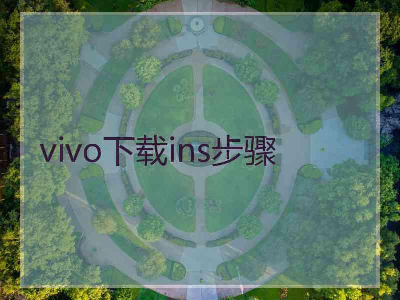 vivo下载ins步骤