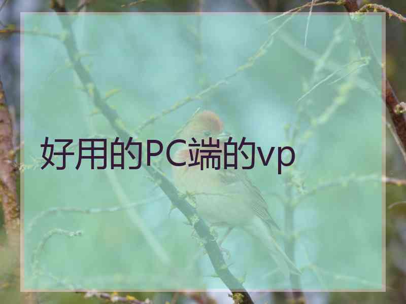 好用的PC端的vp