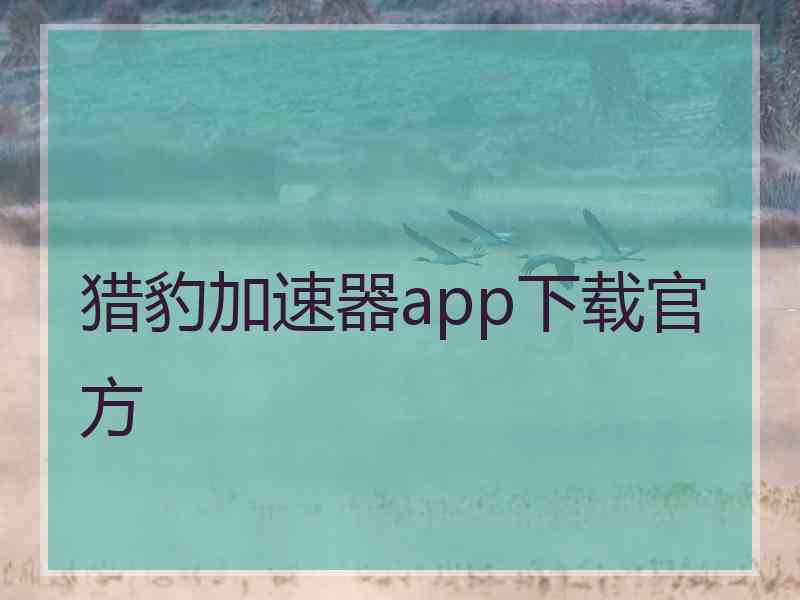 猎豹加速器app下载官方