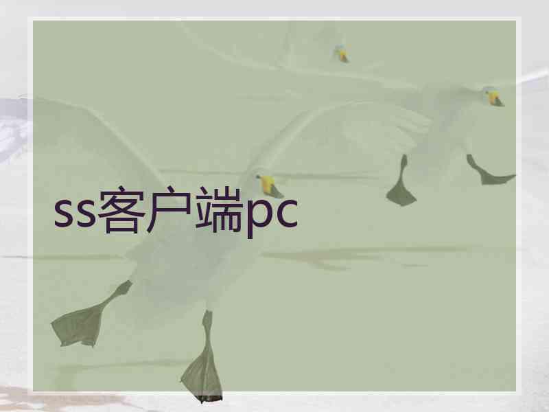 ss客户端pc