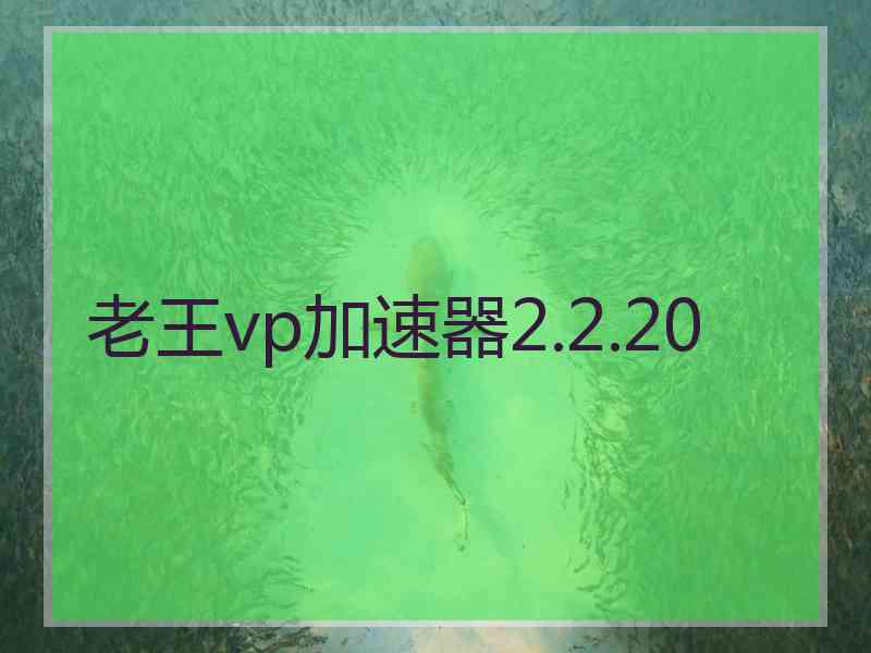 老王vp加速器2.2.20