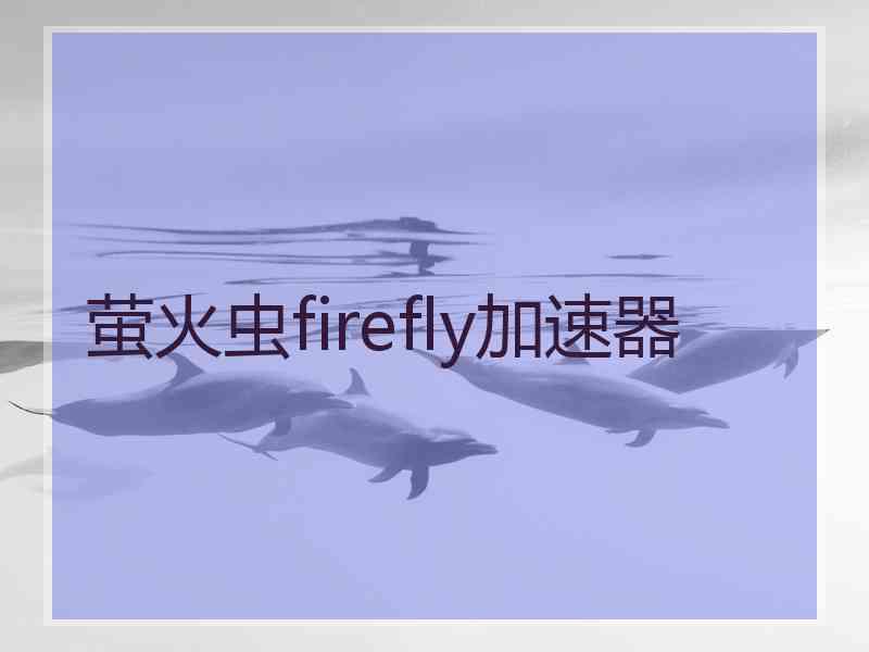 萤火虫firefly加速器