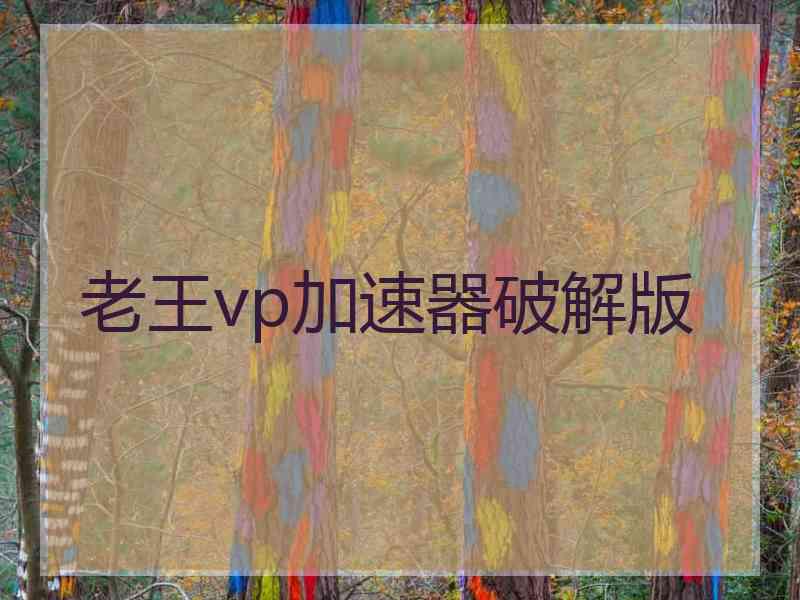 老王vp加速器破解版